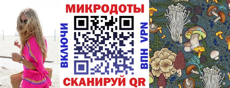 Псилоцибиновые грибы мицелий Мглин